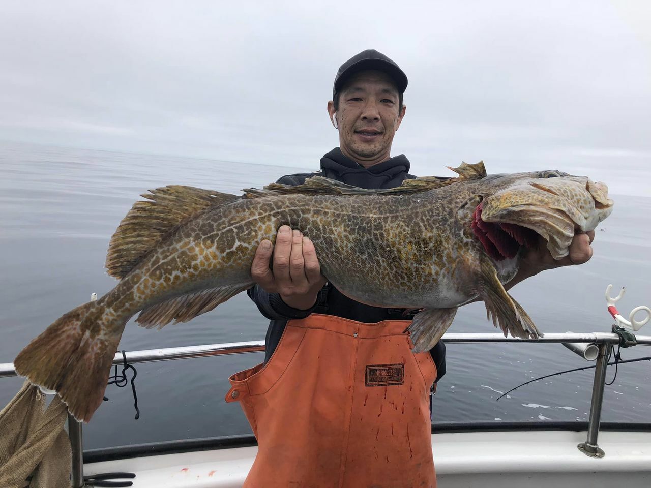 Lingcod Limits up to 25 pounds