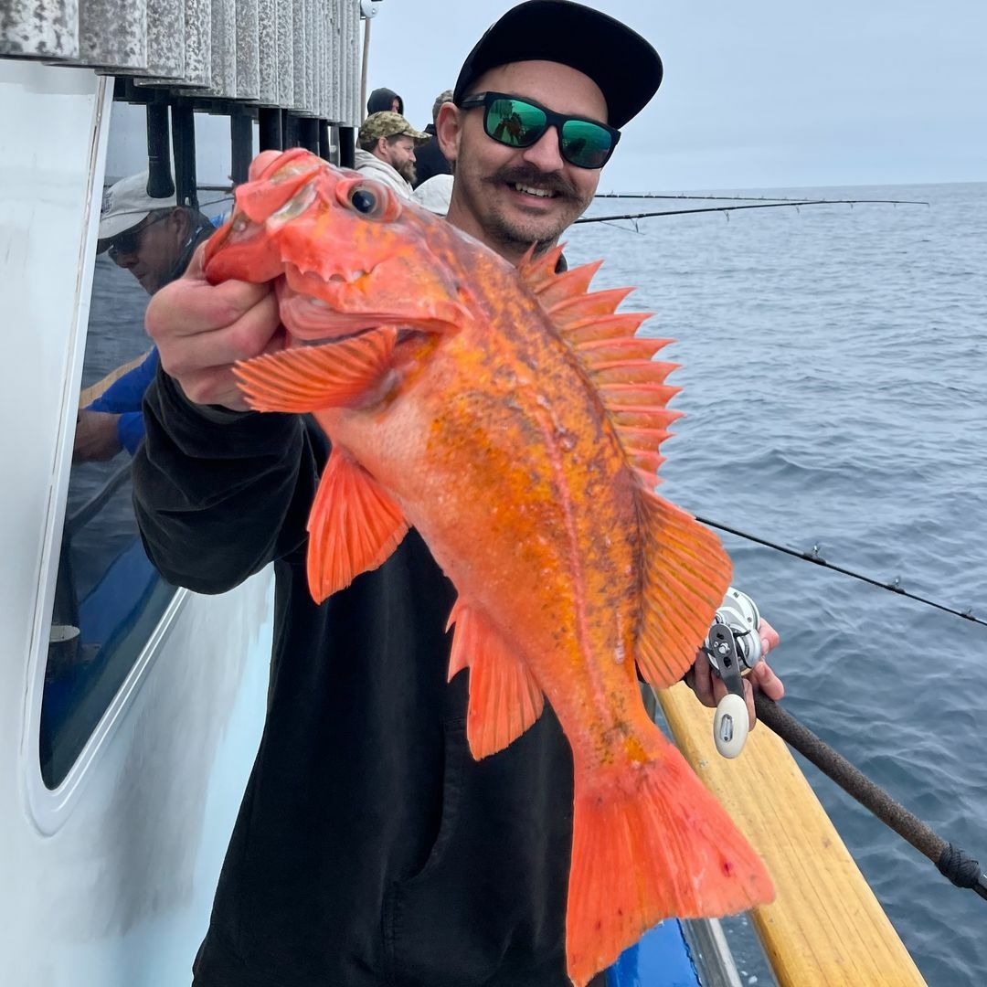 Alaska DEEP SEA Fishing! Catch Clean Cook 