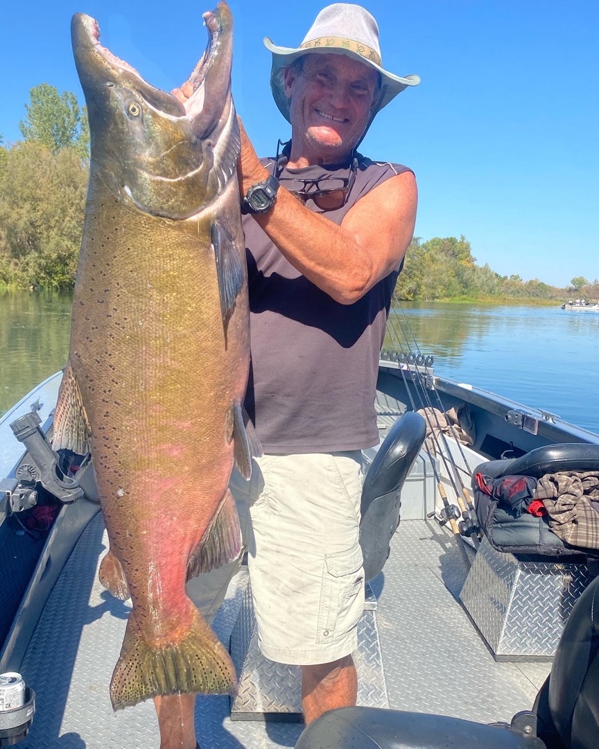 Northern California Fishing Report For, Sacramento River Salmon