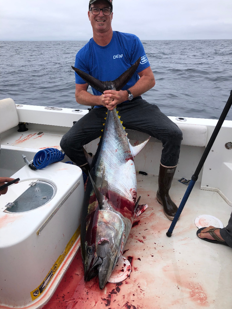 Bluefin fever hit Monterey Bay this week