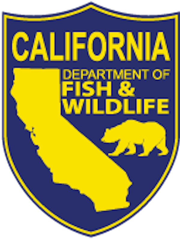 CDFW to Begin Offering 365-day Fishing Licenses for 2023 cover picture
