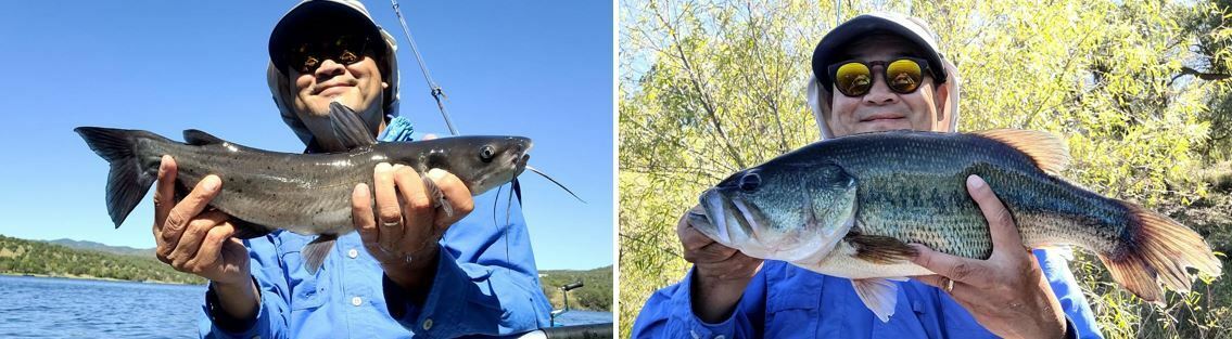 Canyon Lake, Texas Fishing Report