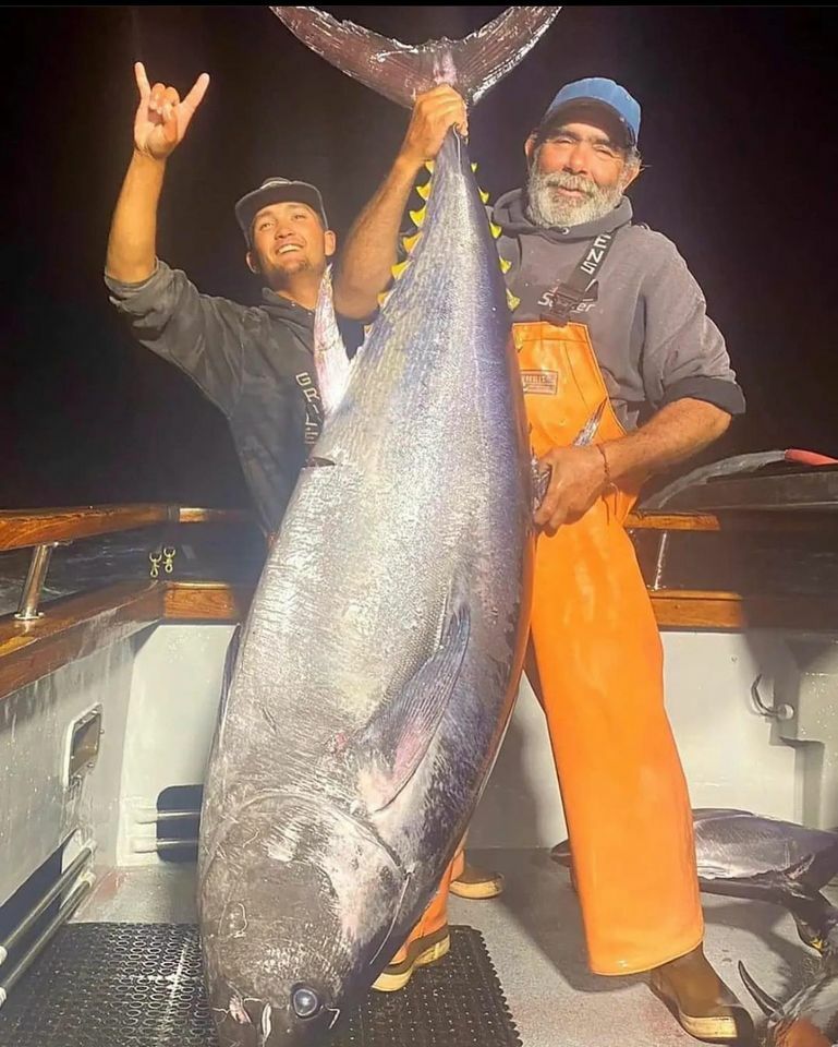  278lb Bluefin Tuna