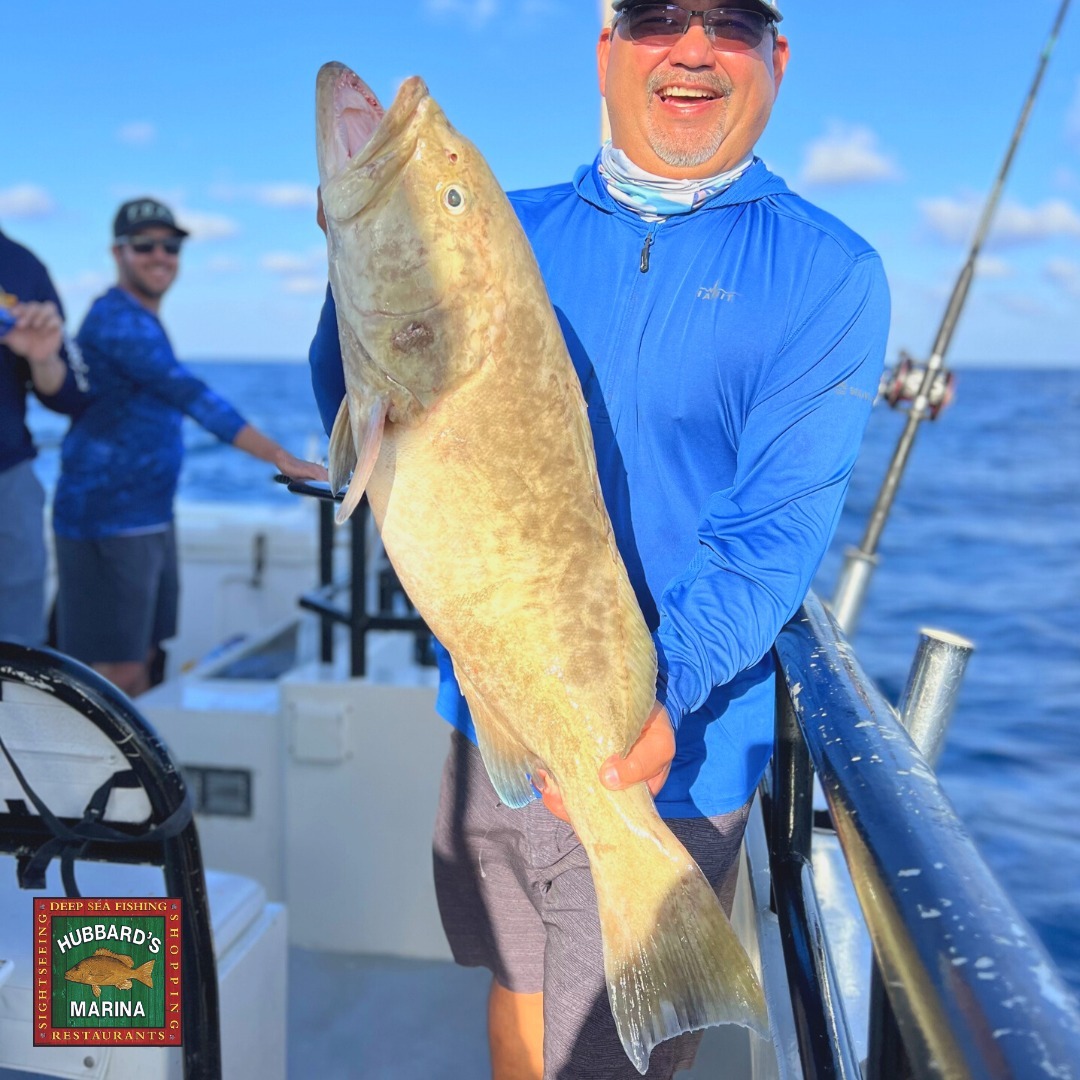 Gag grouper are open till the end of the year