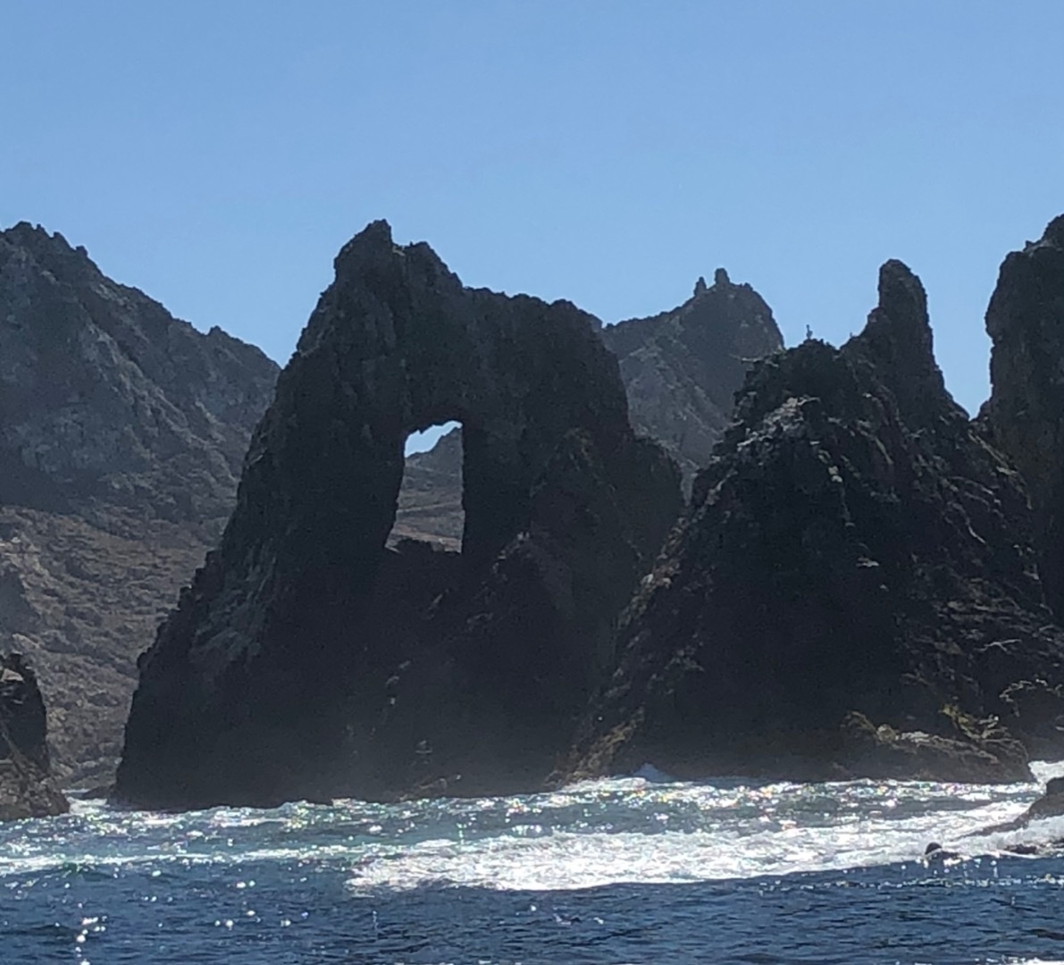 Farallon Islands, Rockfish, Lingcod, Whales & Dolphins… CRABS coming soon !! 😎🐟🐋🐬🎣👍.   🦀🦀🦀
