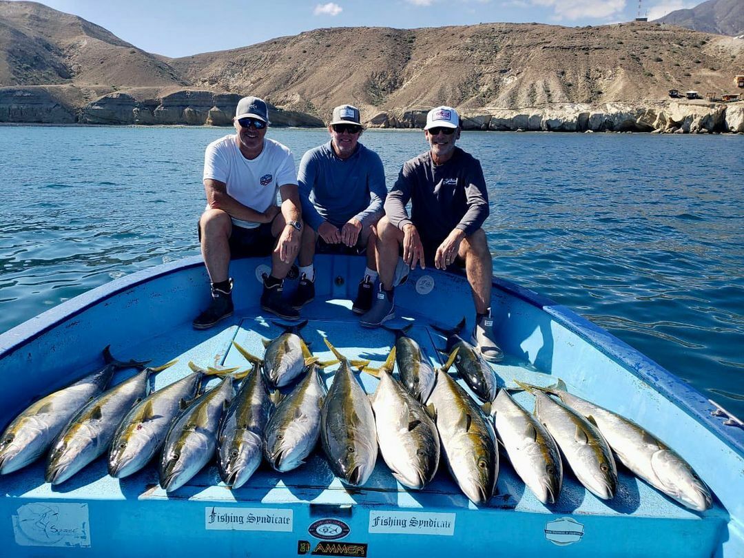 Limits of Yellowtail today 