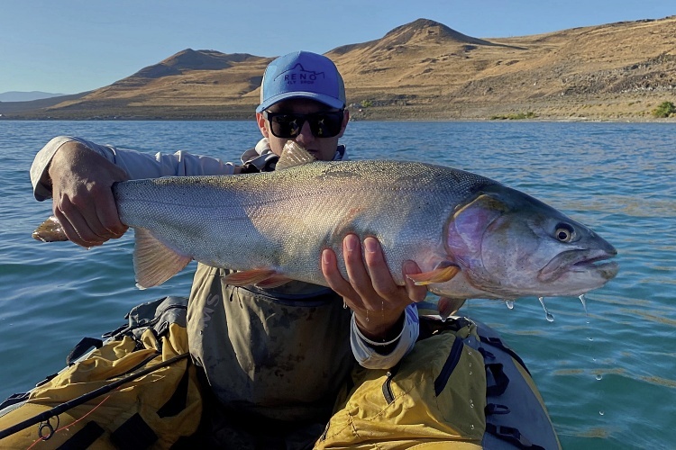 Pyramid Lake Jurassic Trout - Anglers Journal - A Fishing Life