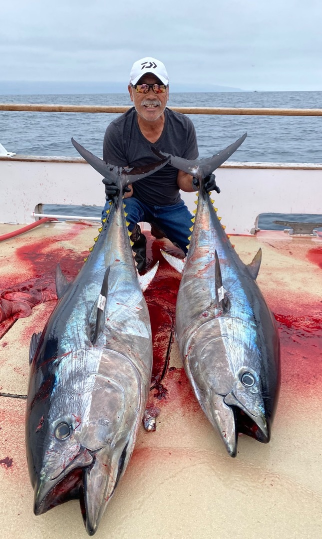 Excellent Bluefin Fishing 