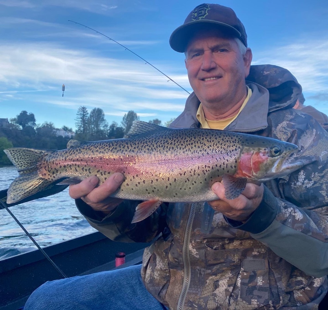 Sacramento River Salmon/Steelhead Report (Red Bluff)