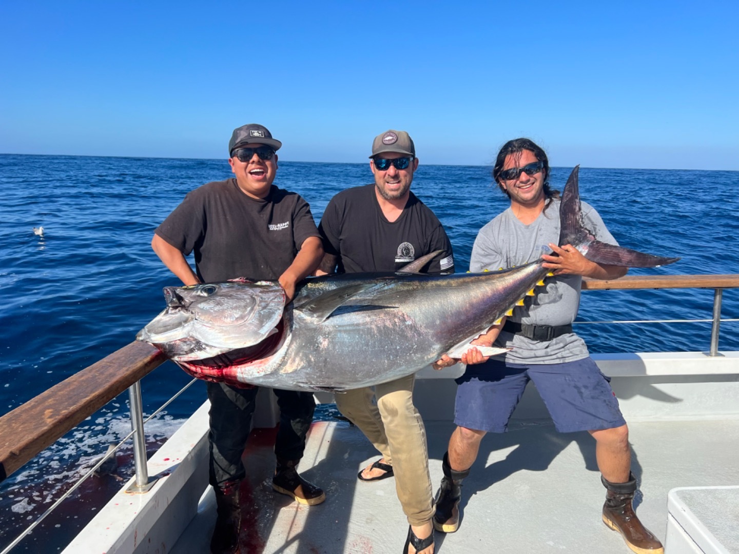 3 day charters 