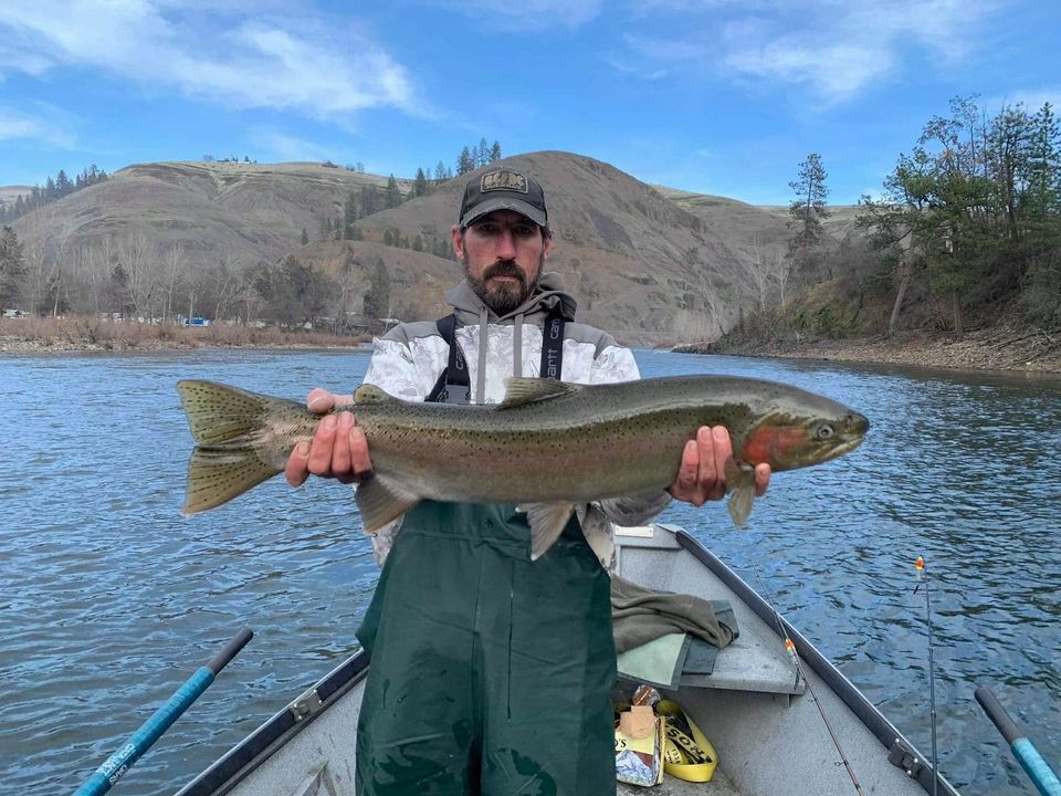 Idaho's Clearwater River: The Year of the Big Steelhead - Pautzke