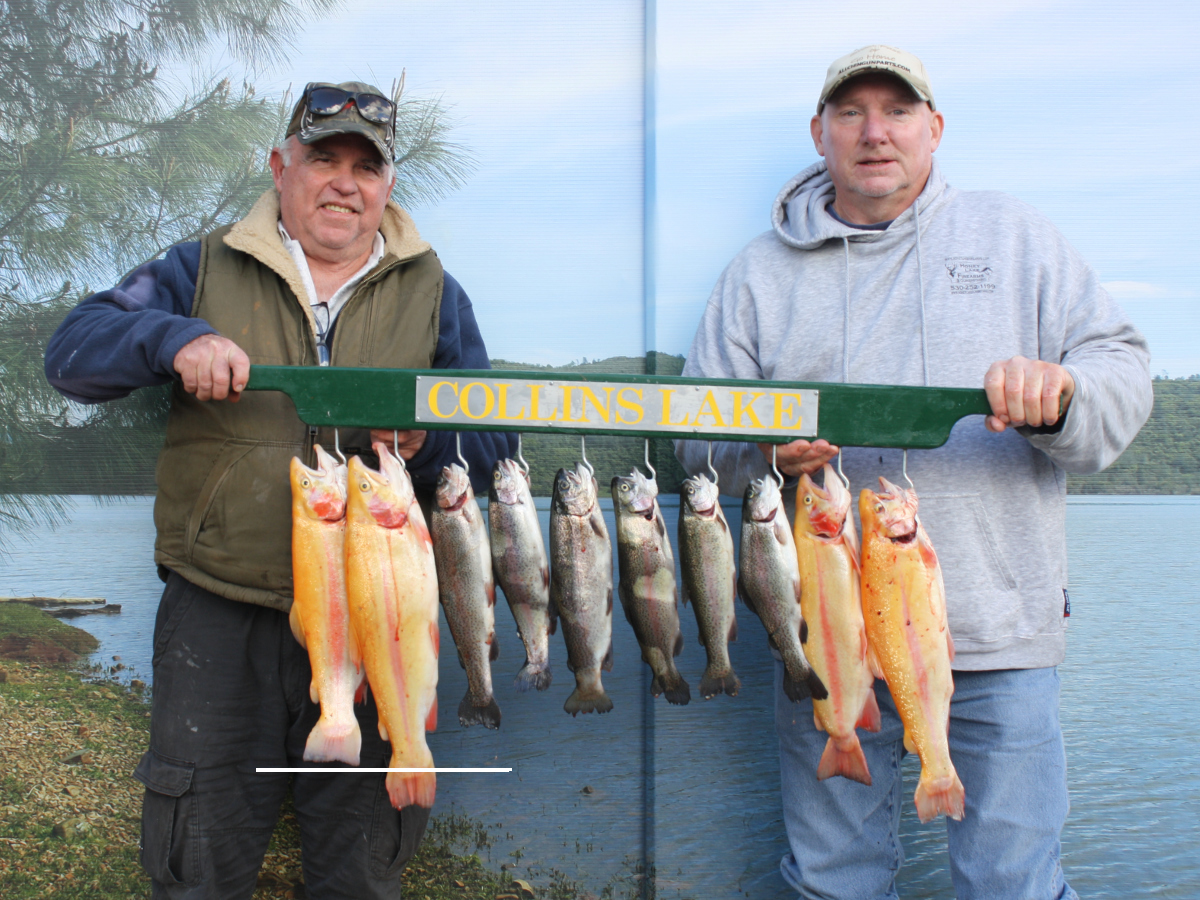 Collins Lake :: Trolling Trout Takes Off