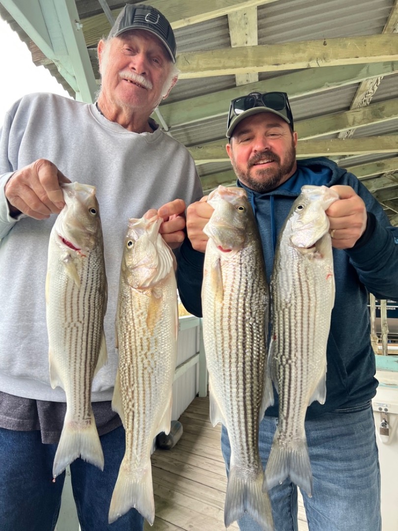 Stripers 