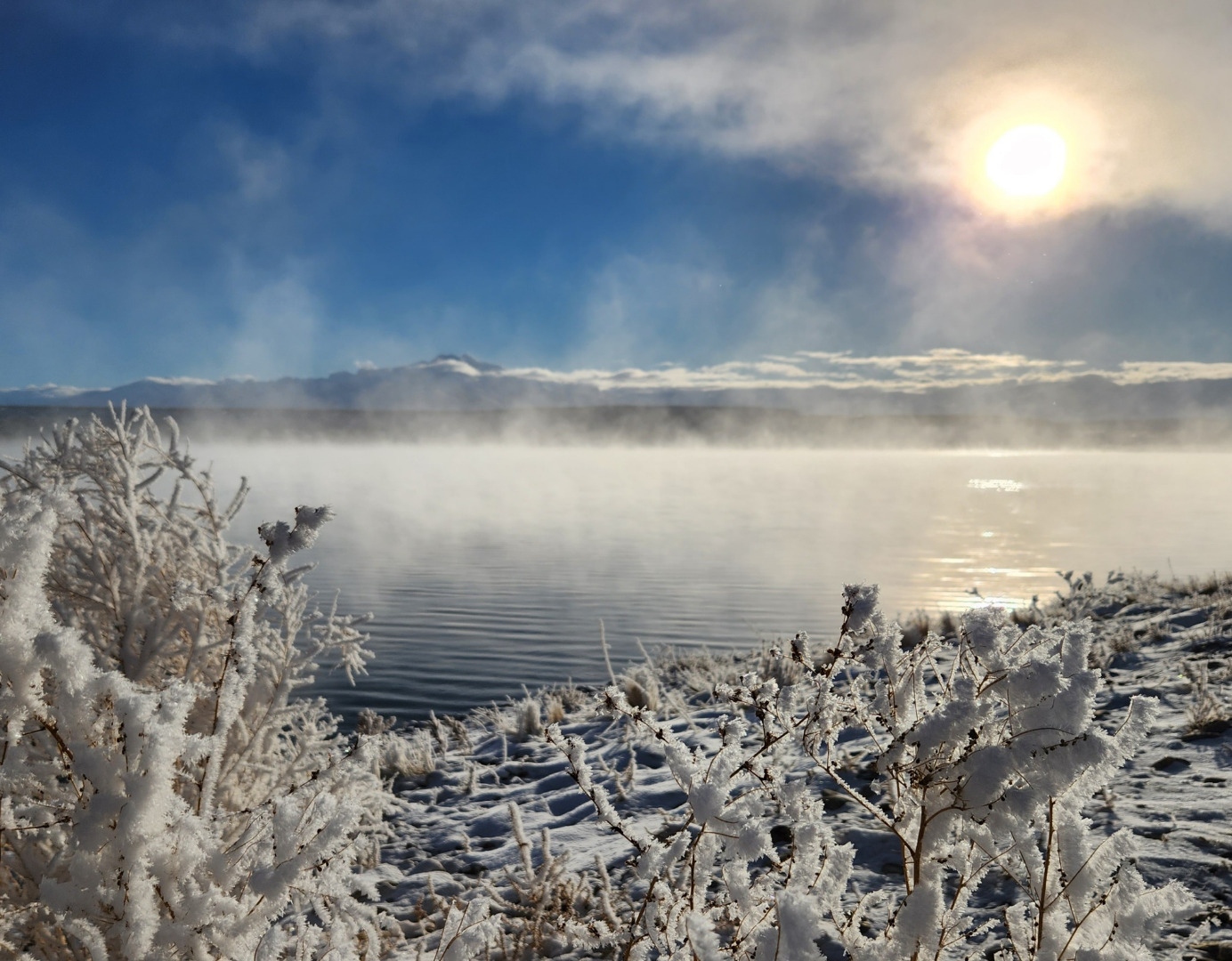 South Fork Reservoir Fish Report Elko, NV (Elko County)