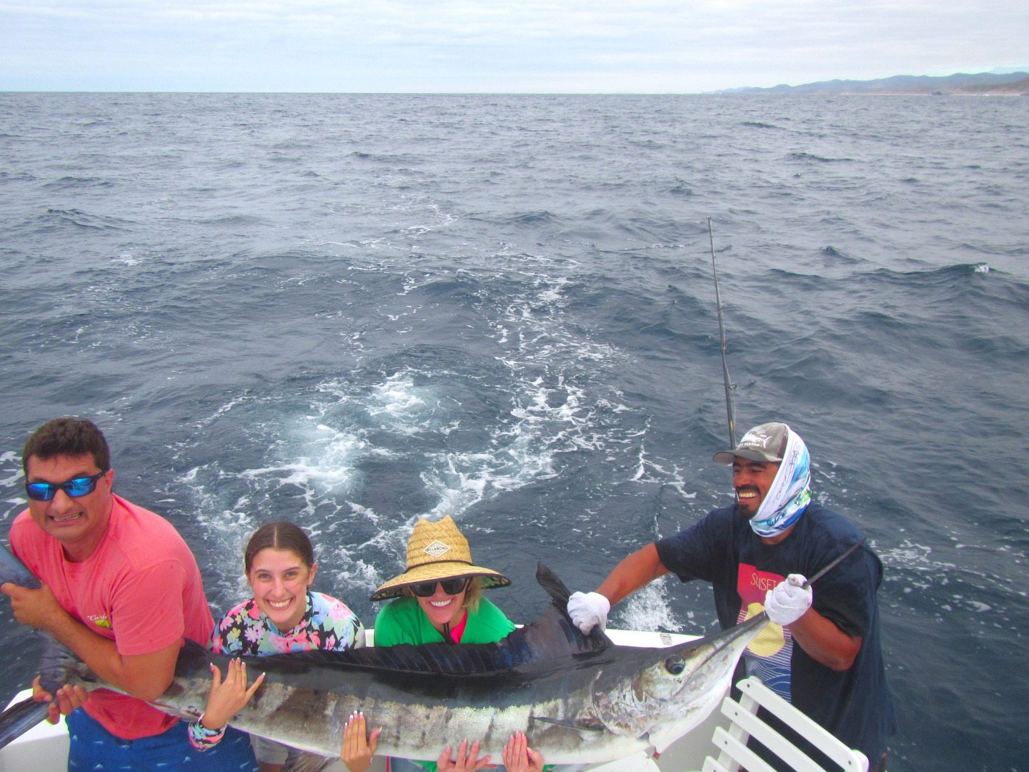 Striped Marlin up to 130 lbs. 