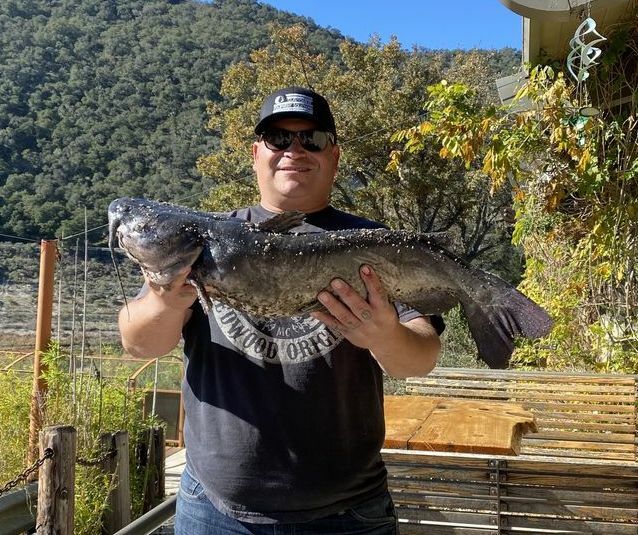 12.5 lb. Catfish 