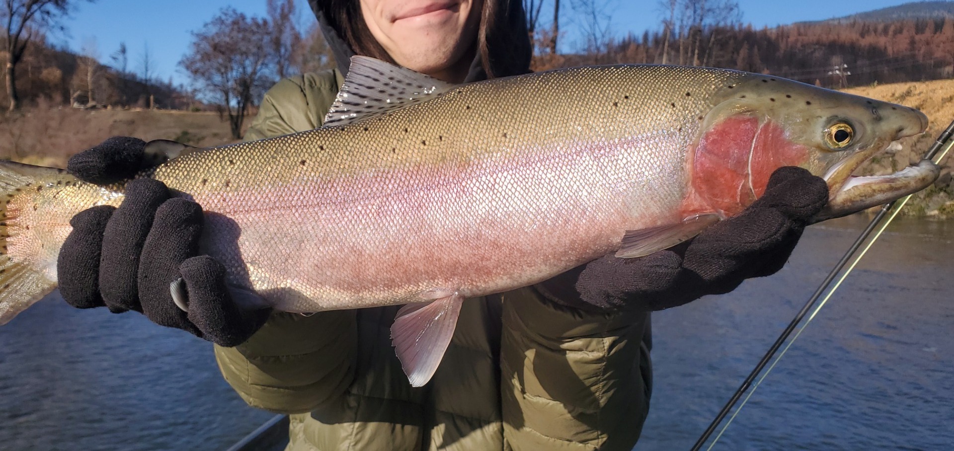 Fantastic Turkey Steel time on the Klamath