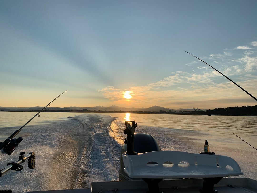 Fish Report Salmon fishing closed in Marine Area 11