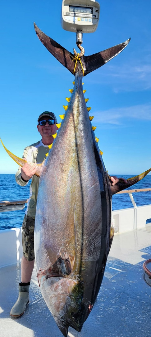 20cm Laser Yellowfin Tuna Grouper Bass Big Sea Fish Outdoor