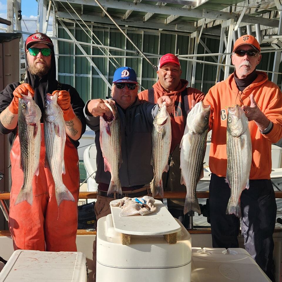 Good day striped bass fishing with lots of action! 