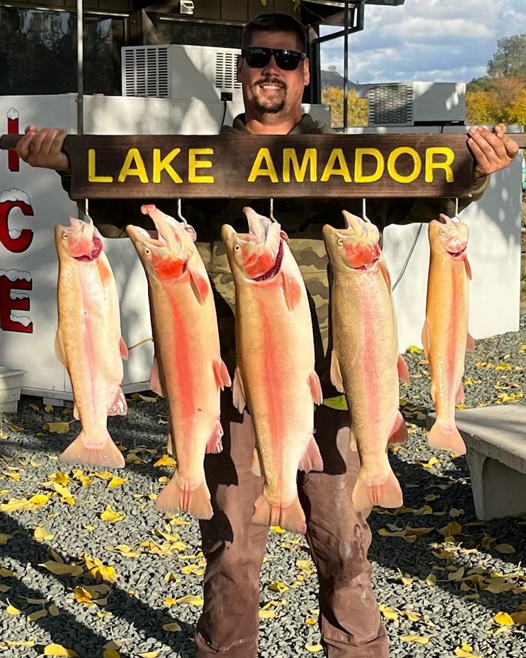 Lake Amador Fishing Report