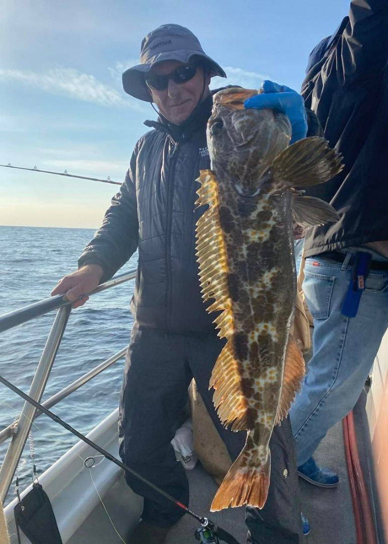 Sea Wolf Fish Report - Fish Report - Hi's Tackle Box Charter