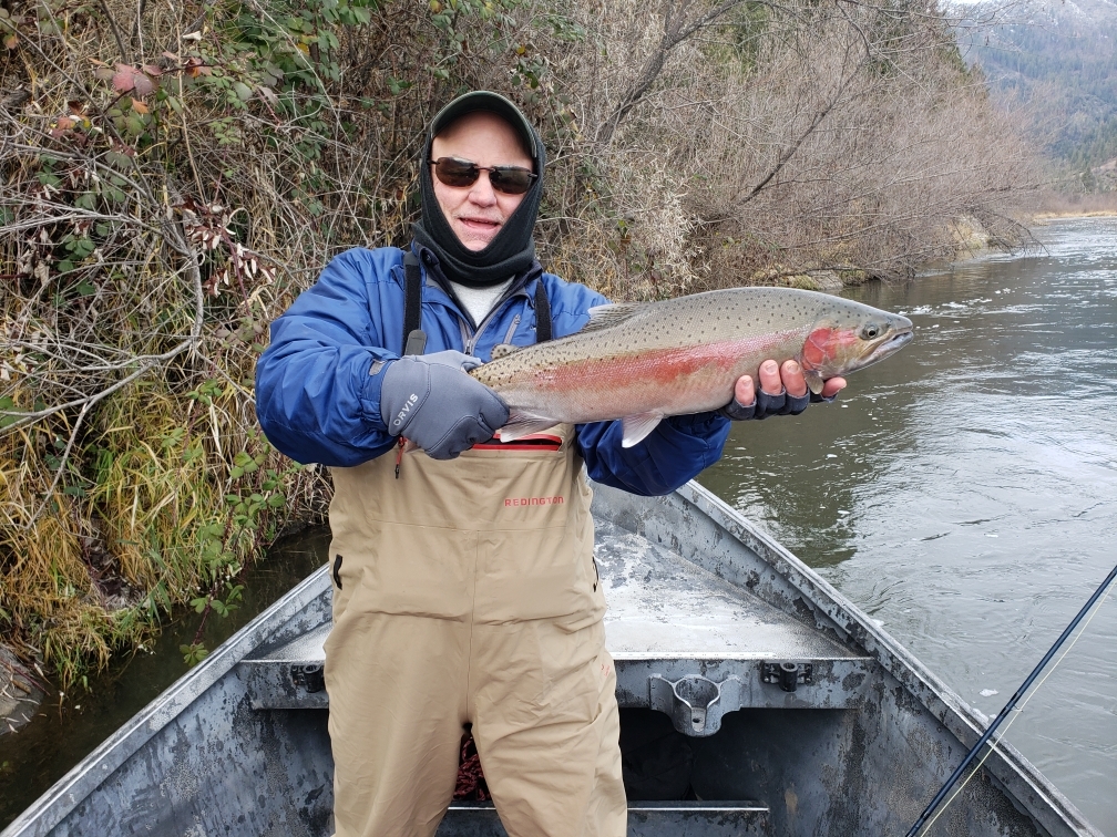 Steelhead — Getting Bit Guide Service