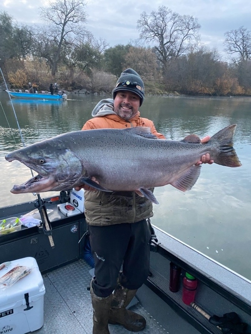 Giant Sacramento River king Salmon