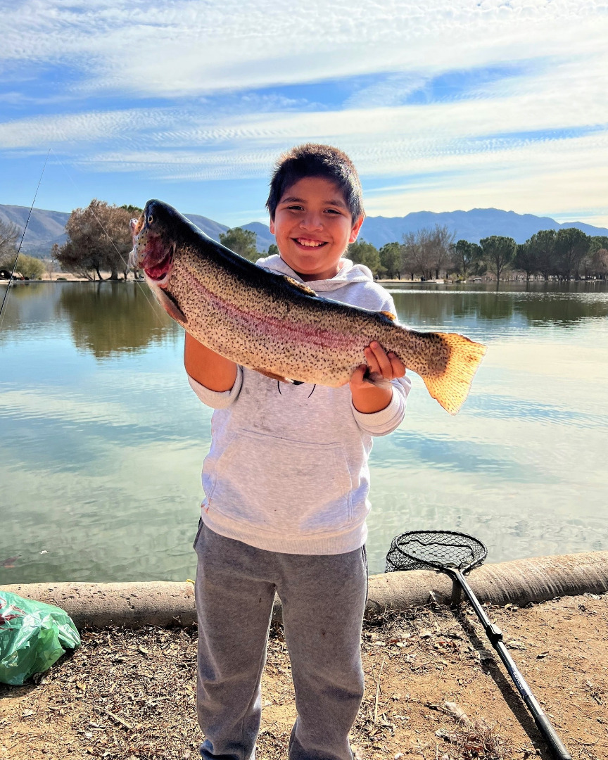 Hesperia Lake Fish Report - Hesperia, CA (San Bernardino County)