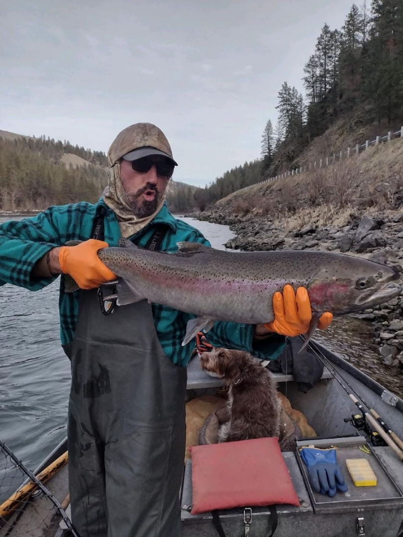 Steelhead Fishing in Idaho - Fishing Book