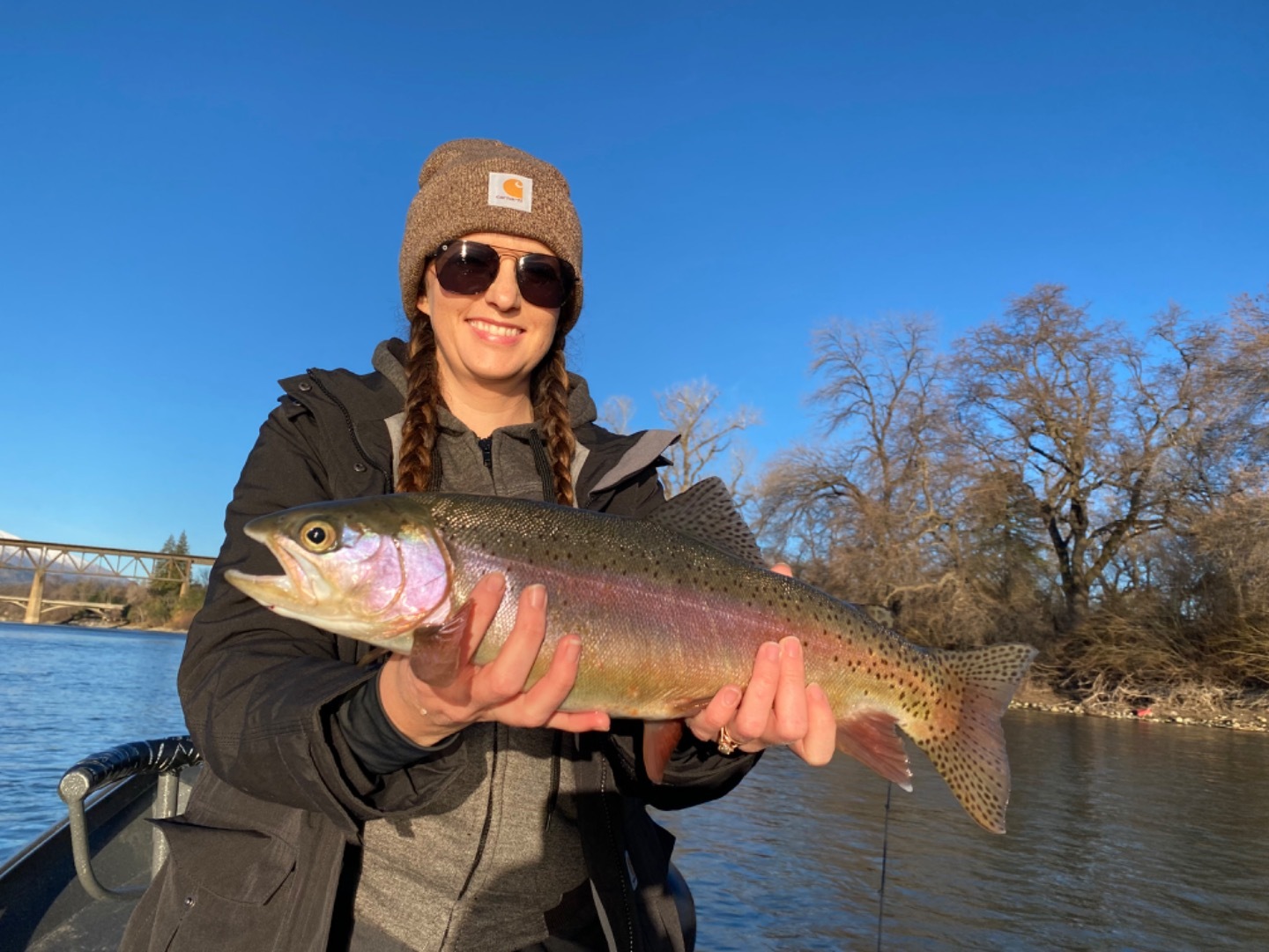 Sacramento River wild rainbow/steelhead fishing 