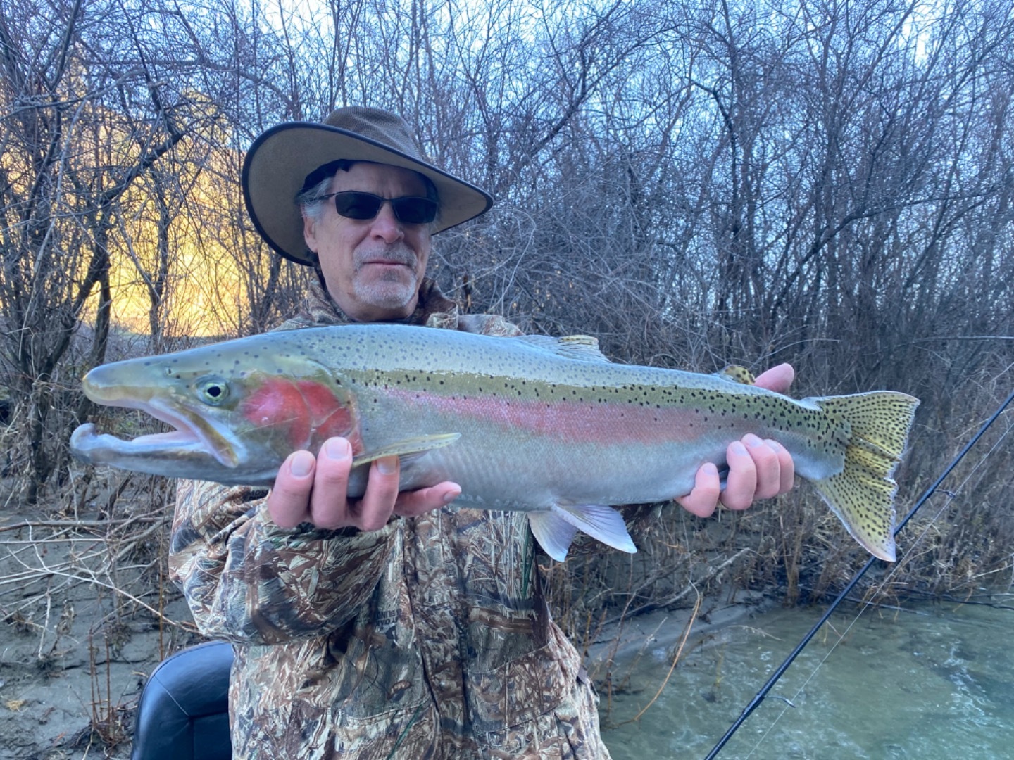 Trinity River steelhead 