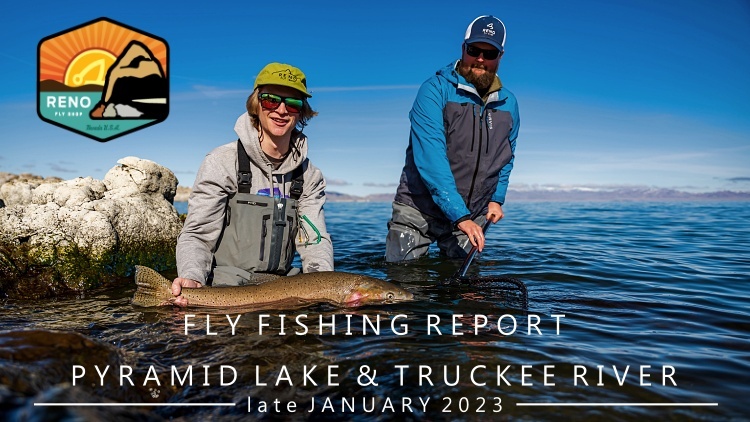 Pyramid Lake Balanced Leech - Root Beer Float