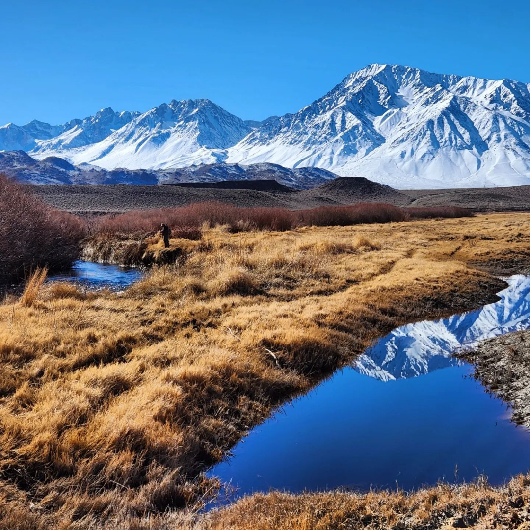 Winter Fly Fishing in Bishop, CA on the lower Owens River - Bishop