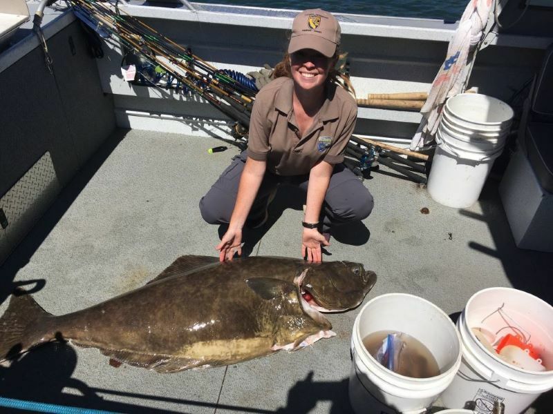 CDFW Seeks Input on Pacific Halibut Fisheries cover picture