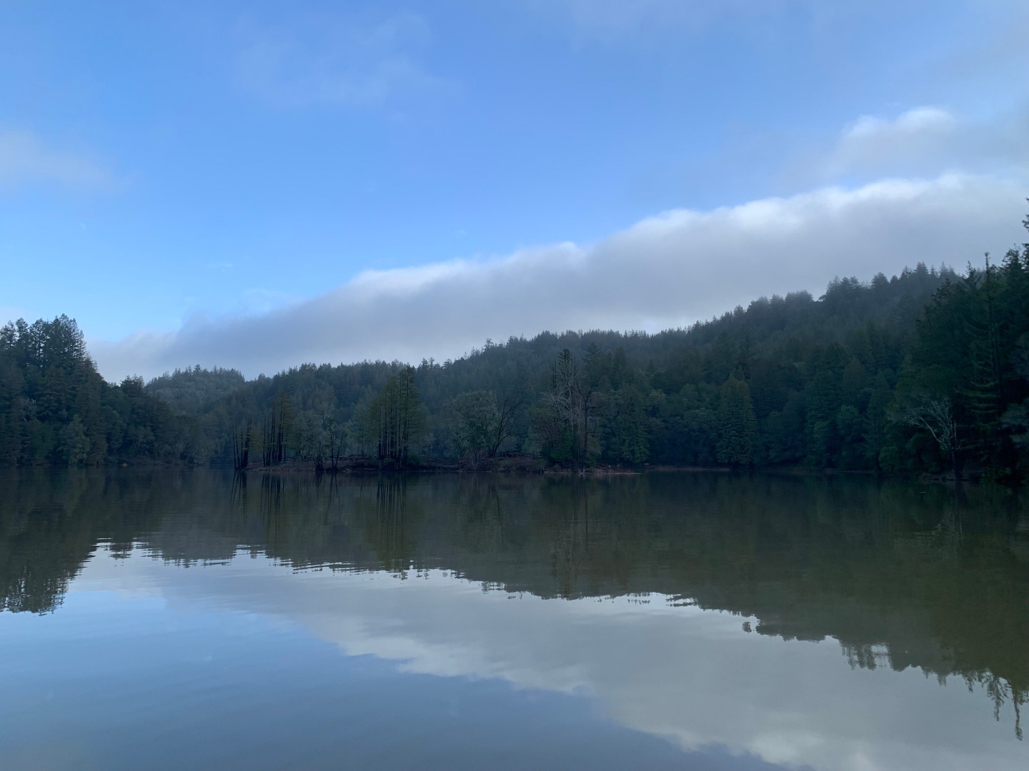 Loch Lomond Fish Report Loch Lomond Loch Lomond Will Be Opening For   Img 20230208 Cc800e26 