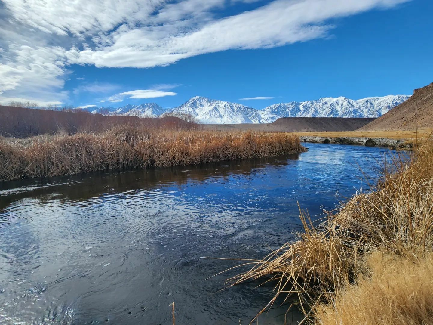 Owens River - Lower Fish Report - Bishop, CA (Inyo County)