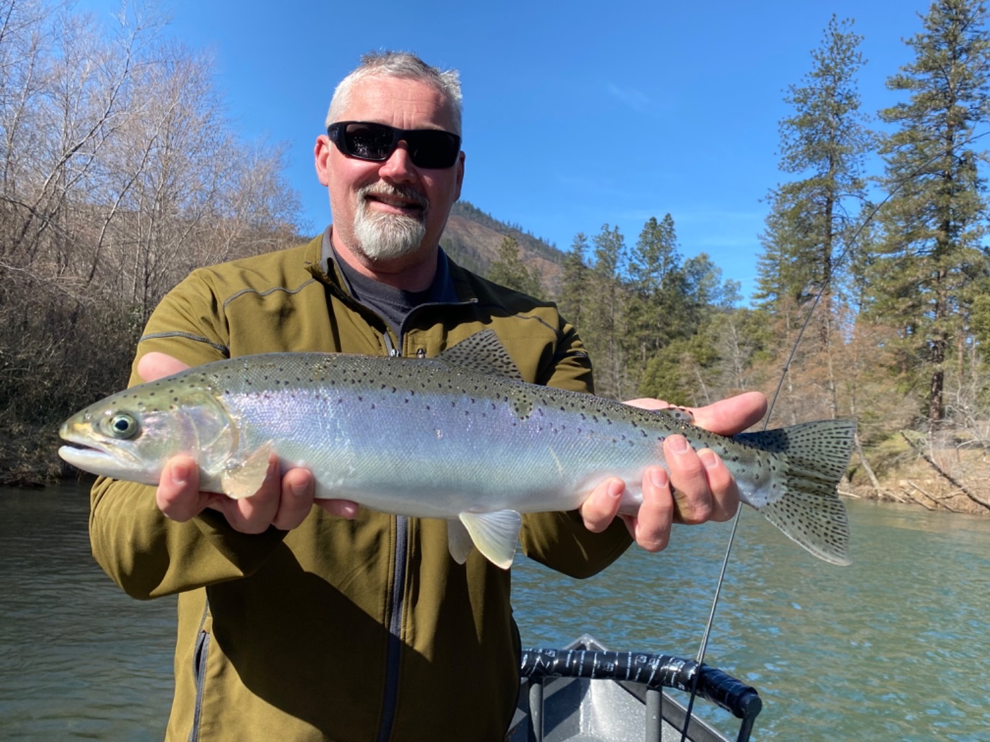 Trinity River steelhead still holding strong!