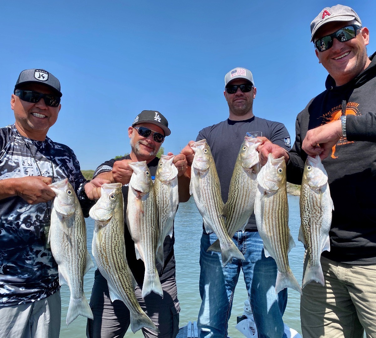 Monster Sac River stripers take father-and-son team for a ride