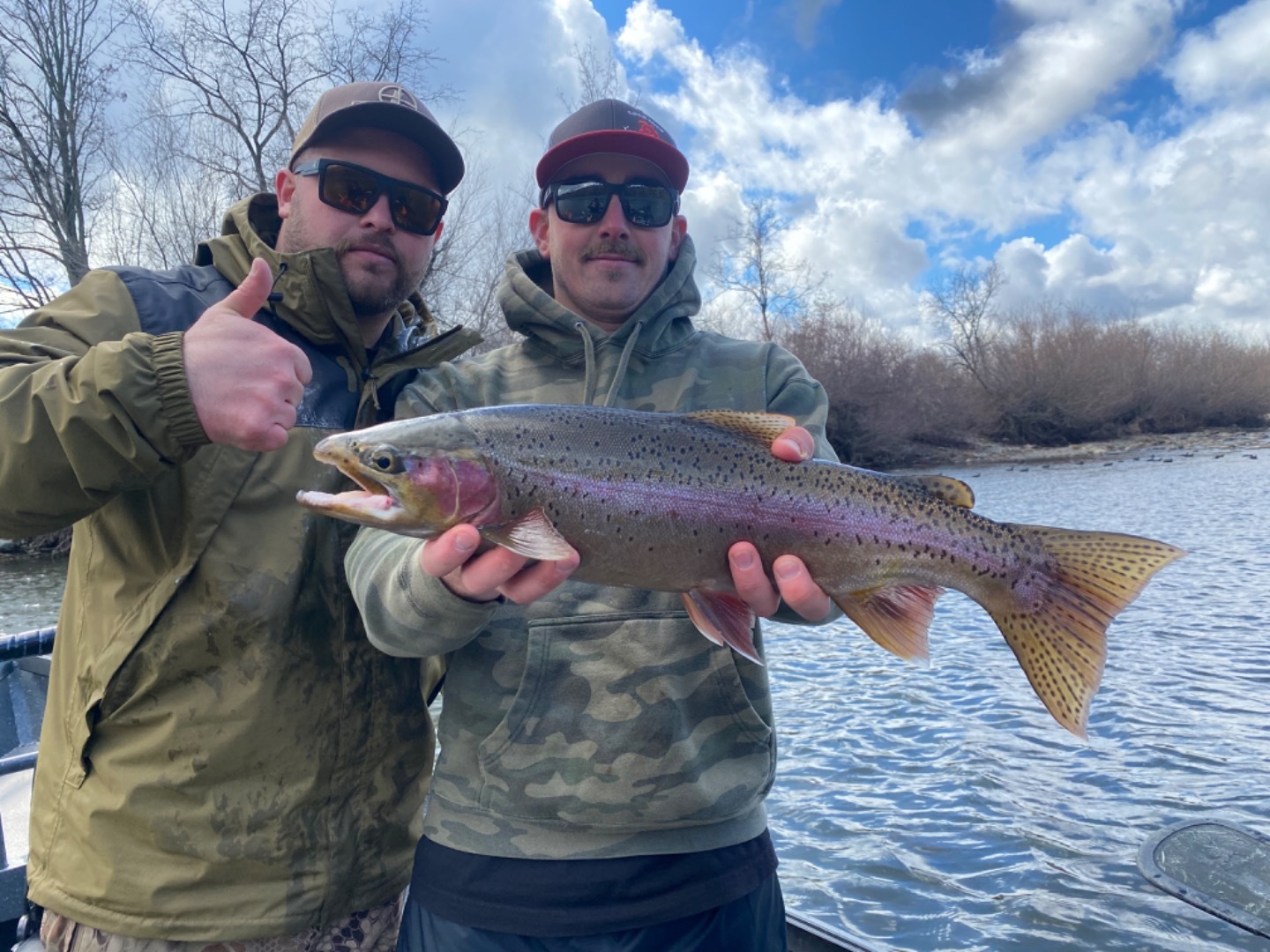 Sacramento River hot rainbow trout/steelhead bite
