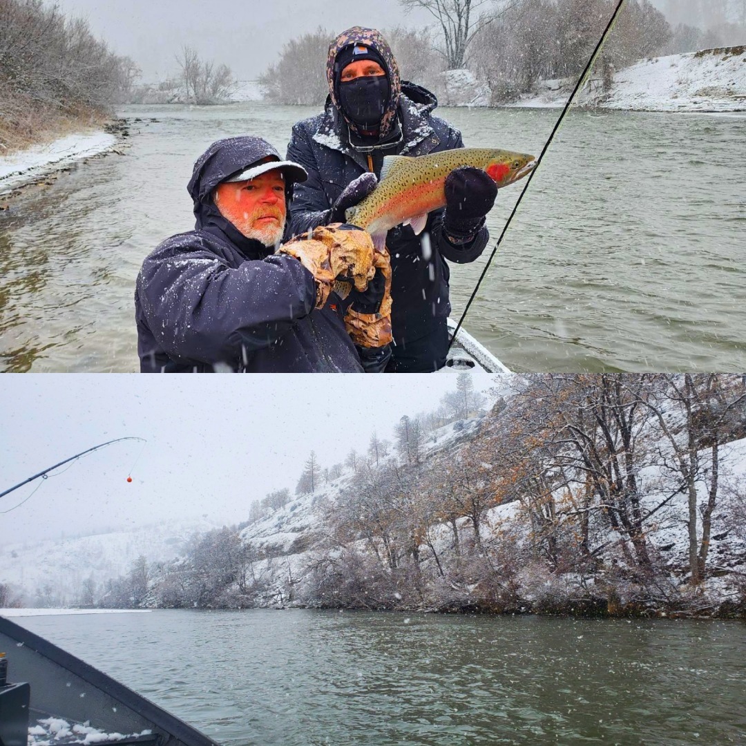 Klamath Winter Steelhead Marches on!