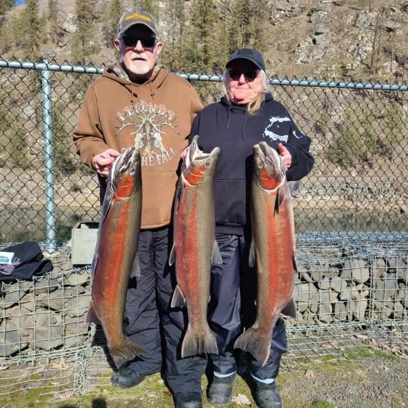 Spring steelhead fishing on the Clearwater River in Idaho remains hot!
