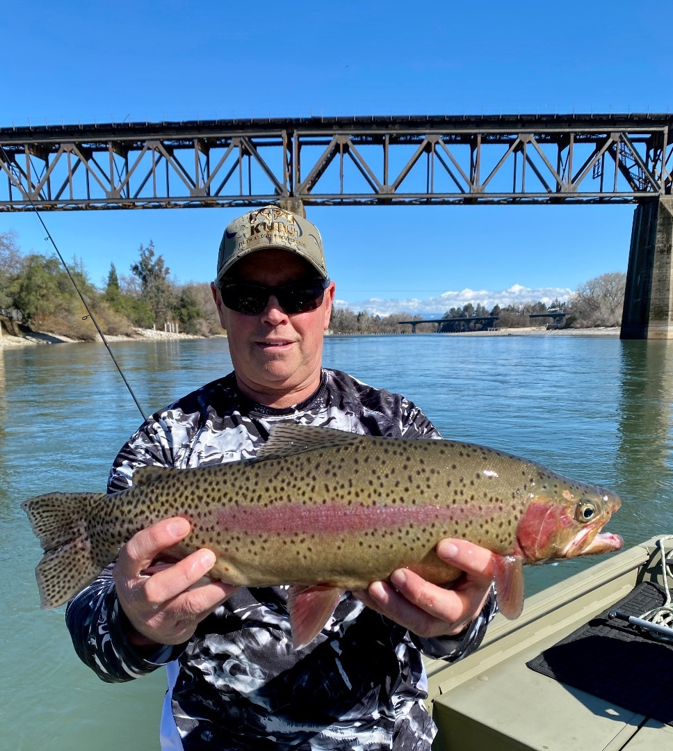 Sacramento River - Lower Fish Report - Sacramento River - Lower - Redding's  Wild Rainbow Trout Fishing - March 11, 2023