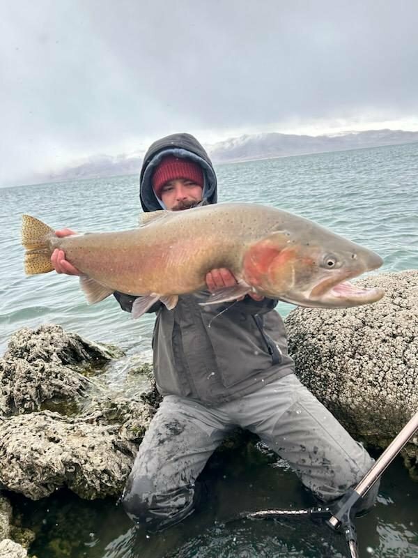 Angler catches and releases 31 lb. Lahontan cutthroat at Pyramid Lake