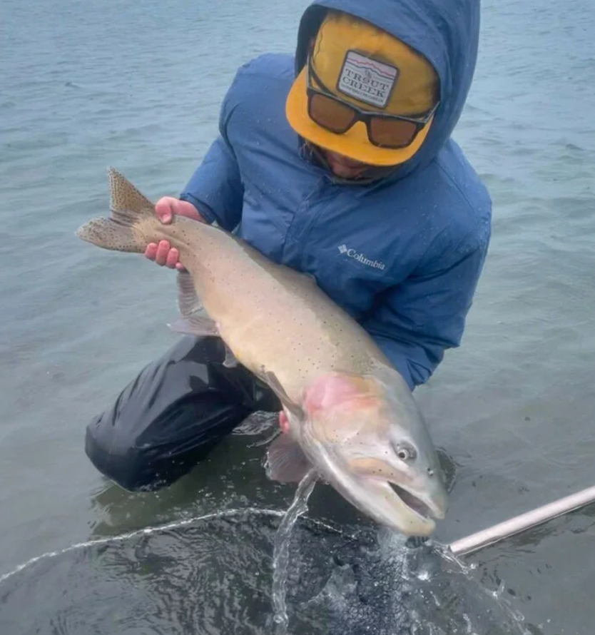 Pyramid Lake Fish Report Sutcliffe, NV (Washoe County)