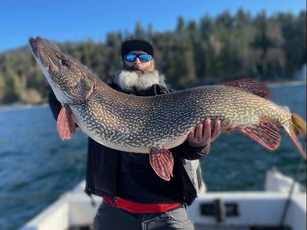 New state record northern pike caught in North Idaho: 40.76 pounds!