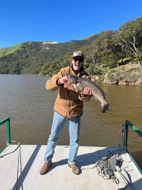 11 lb. Catfish 