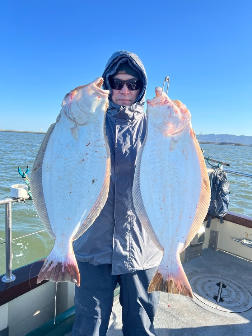 LIMITS OF HALIBUT BY 8:30am!!!