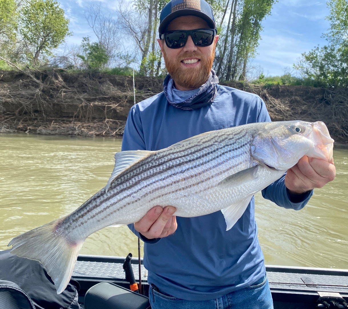 2023 Sacramento River Striped Bass Fishing Report! — Jeff Goodwin