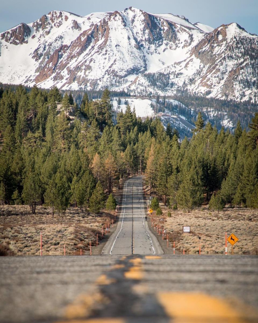 June Lake Loop Fish Report June Lake Loop FISHMAS UPDATE! April